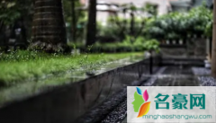 2022上海端午节会下雨吗 端午是不适合去上海