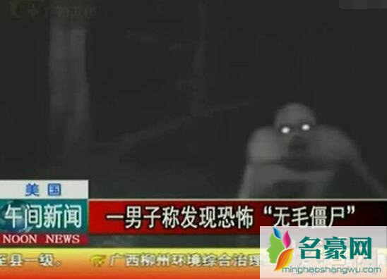 无毛僵尸