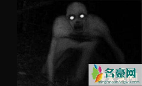 无毛僵尸