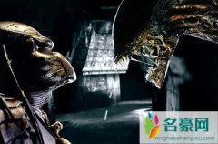 铁血战士为什么杀异形 铁血战士和异形什么关系