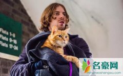 电影流浪猫鲍勃原型是谁 现实版人猫情缘感动无数