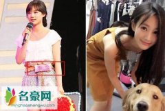 李雪和李一桐是一个人吗 李雪改名李一桐整容换身