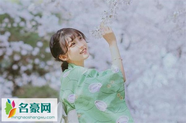表白句子
