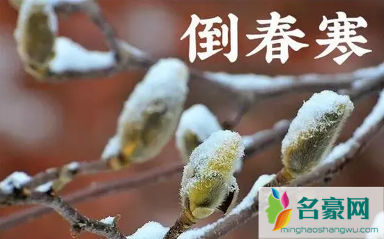 2022年4月会不会有倒春寒1