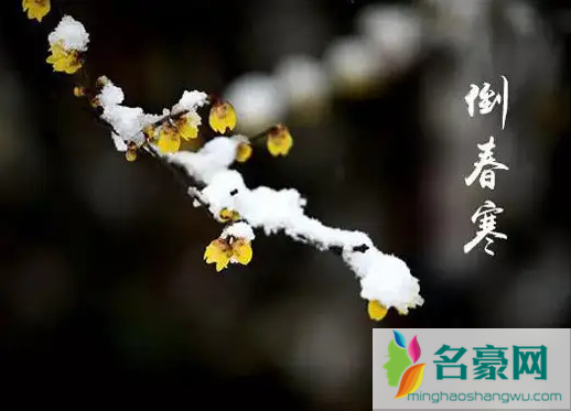 2022年4月会不会有倒春寒2
