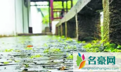 2022年深圳梅雨季节是什么时间 梅雨季节是怎么发生