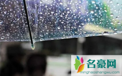 2022年深圳有梅雨季节吗 梅雨天气有哪些是要注意的