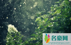 老人去世下葬时下雨好不好 老人去世下葬时遇到下