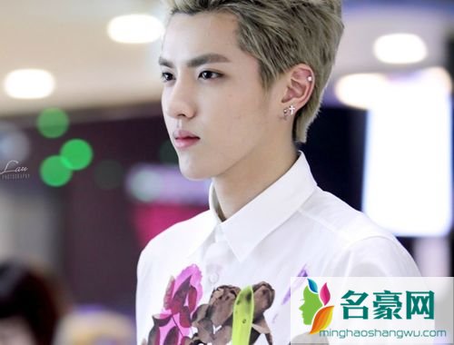 吴亦凡家庭背景资料 吴亦凡妈妈是哪里人