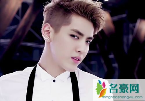 吴亦凡家庭背景资料 吴亦凡妈妈是哪里人