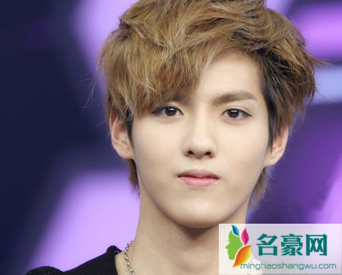 吴亦凡家庭背景资料 吴亦凡妈妈是哪里人