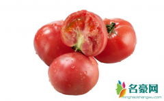 普罗旺斯西红柿是转基因食品吗 普罗旺斯西红柿是