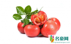 普罗旺斯番茄是哪个国家的 普罗旺斯番茄好吃吗