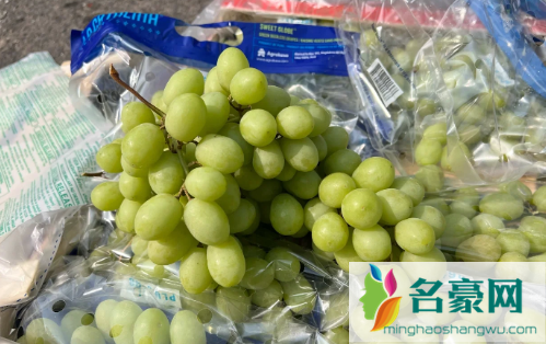 秋天脆青提热量高不高1