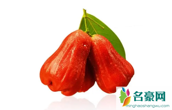 莲雾可以用盐水泡吗1