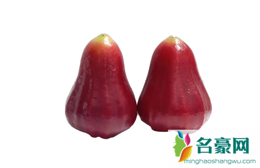 莲雾大的好吃还是小的好吃2