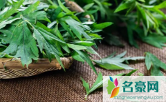 2022端午节什么时候在门上挂艾草 艾草什么时候挂合