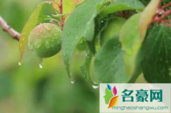 杭州梅雨季节是哪几个月 杭州有梅雨天一般什么时