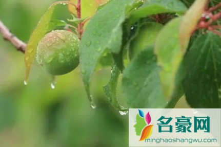 2022杭州梅雨季节是哪几个月1