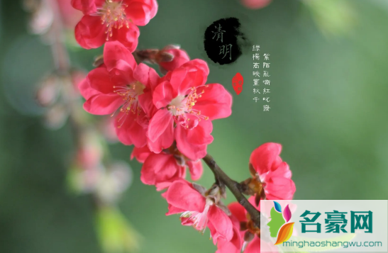 清明节上坟分男女吗2