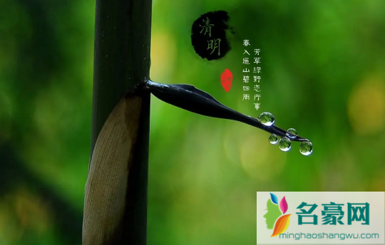 清明节上坟分男女吗3