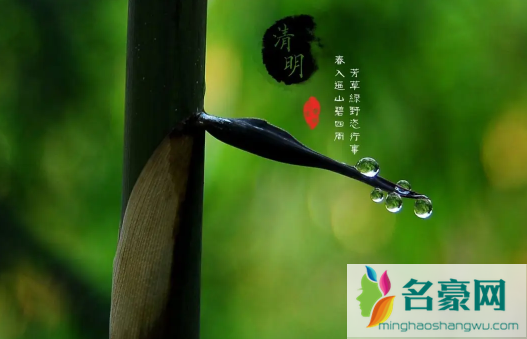 清明上坟可以单独上吗3