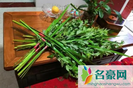 2022清明节当天插青好吗2