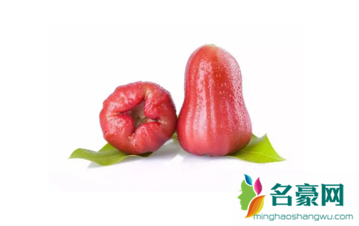 莲雾变白怎么回事2