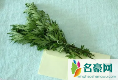 端午挂的艾草和菖蒲什么时候可以用来洗澡 用艾草