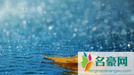 2022年上海5月份雨水多吗2