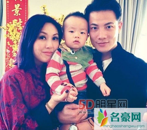 杨千嬅几个老公 杨千嬅几个孩子