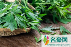 端午节挂艾草必须根部朝上吗 端午节挂艾草有什么