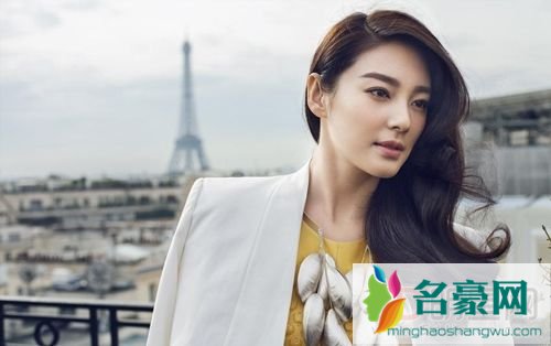 性感美女张雨绮老公资料 张雨绮年龄比老公小多少