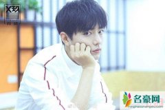 肖战设计作品有哪些？肖战设计作品20万是真的吗