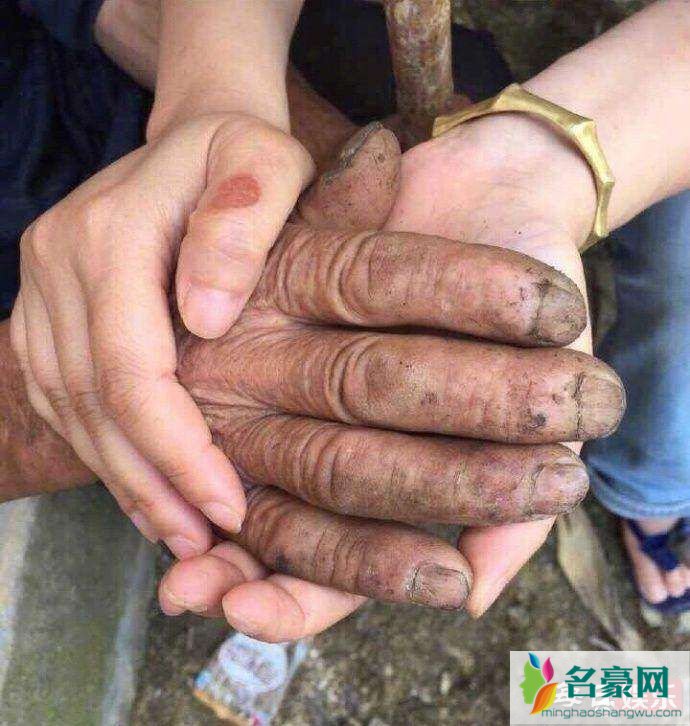 袁立否认私吞善款说了什么 袁立私吞善款是真的吗?