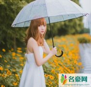 一场遇见爱情的旅行，一场大雨让我们定情终身