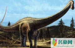 世界上最大的动物（易碎双腔龙体长达到80米-堪比足