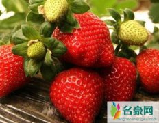 盘点杀死癌细胞最狠的水果（常吃草莓能抑制癌细胞