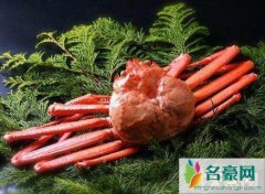 世界上最贵的螃蟹（ 松叶蟹售价12.2万元人民币-独一