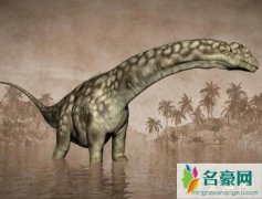 十大体型最大恐龙排行（阿根廷龙体长40米高12米/重