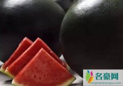 世界十大奢侈水果排名（黑皮西瓜单价达1.7万人民币