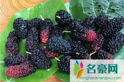 超市买的盒装桑葚可以直接吃吗3