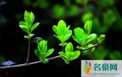 2022年5月有几个工作日几个休息日 5月有什么节气
