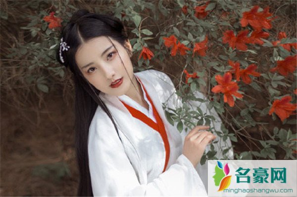情商和智商经典句子