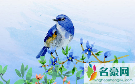 2022年芒种交运九天是从几月几日算3