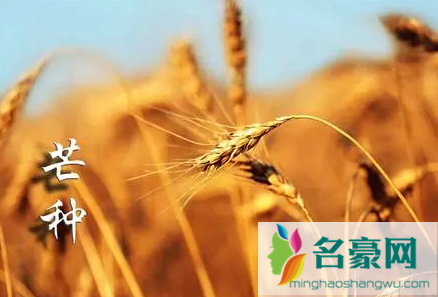2022年芒种交运九天是从几月几日算2