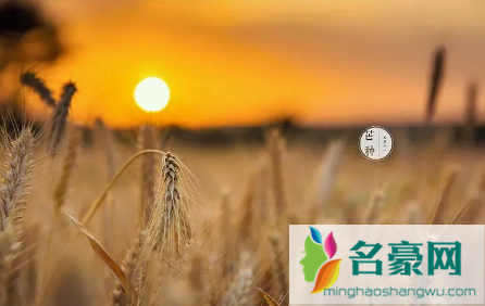 2022年芒种交运九天是从几月几日算1