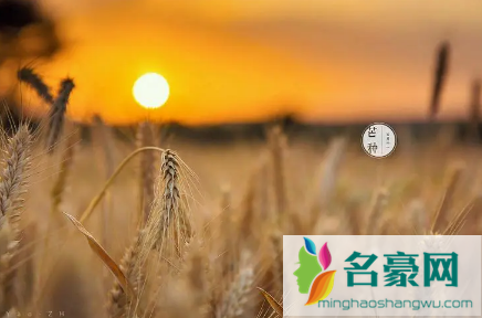2022年芒种是几月几号几点几分1