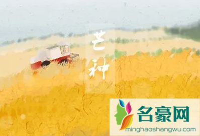 2022年芒种是几月几号几点几分2