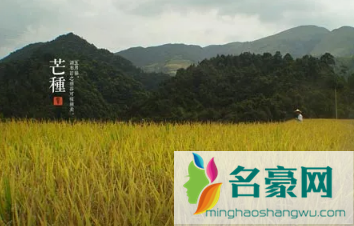 ​2022芒种后九天交运包括当天吗2